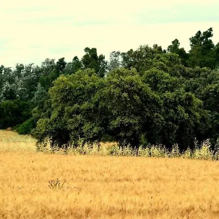 El Cotillo De San Jose Country house *