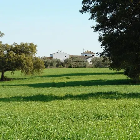 El Cotillo De San Jose Hinojos
